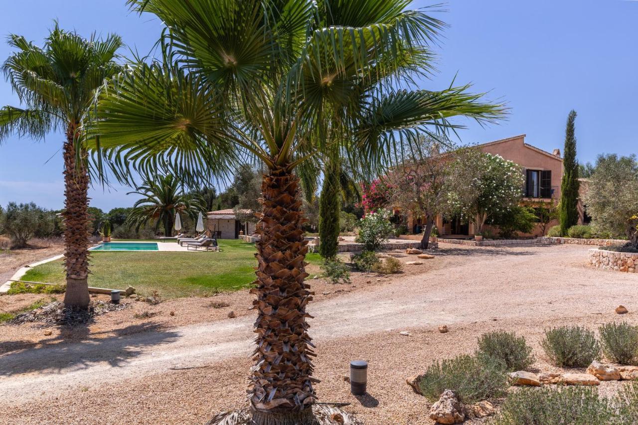 Finca El Retiro Ses Salines  Luaran gambar